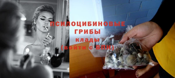 героин Каменка