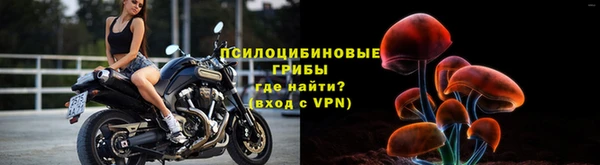трава Армянск