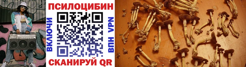 Галлюциногенные грибы мухоморы  цена наркотик  Северо-Курильск 